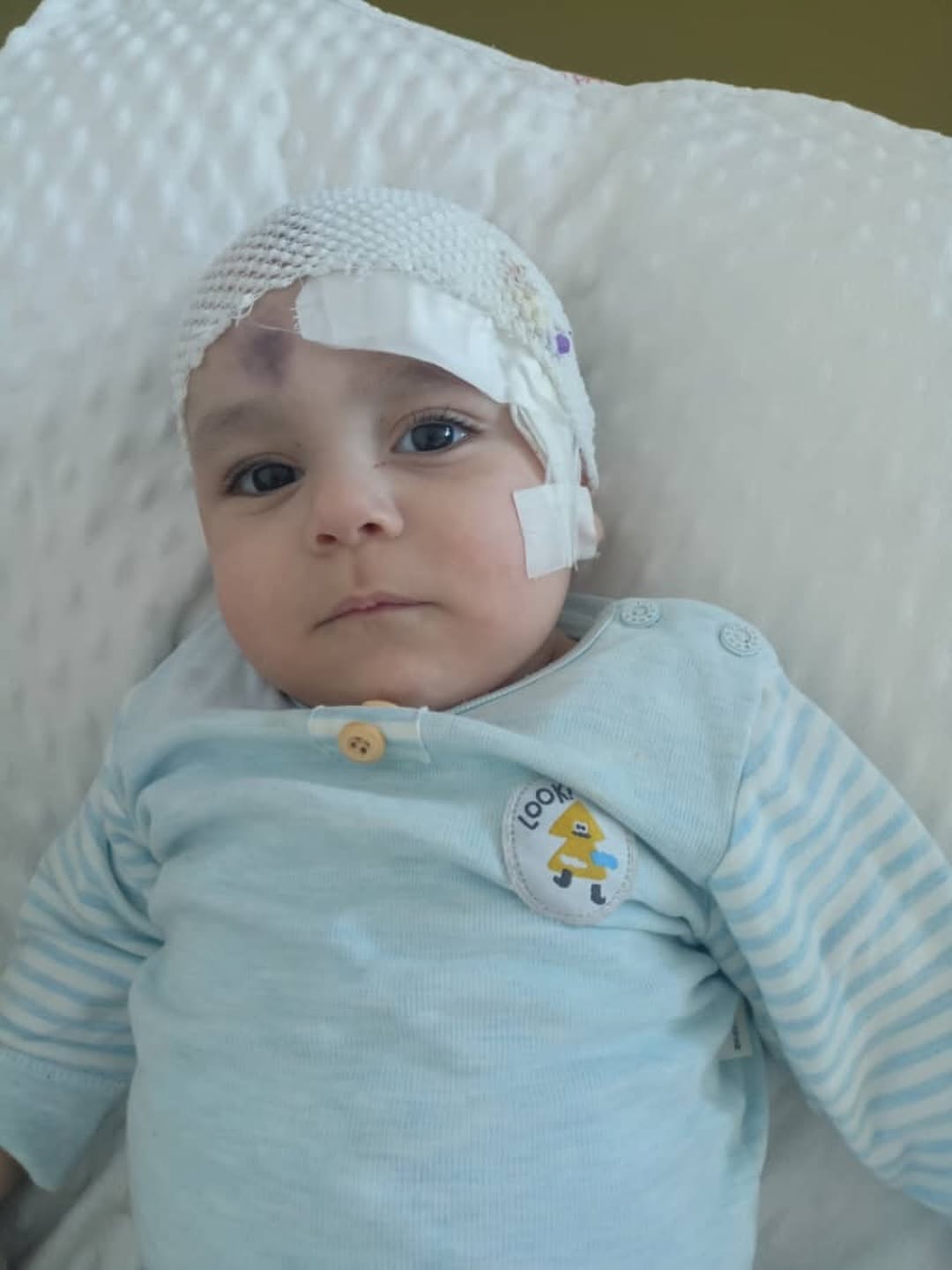 Notre petit Kaiser se porte bien et poursuit son hospitalisation.
